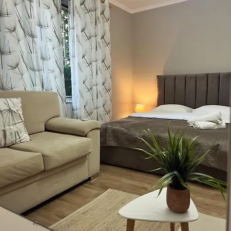 Apartment New Bazaar Cane 2 *