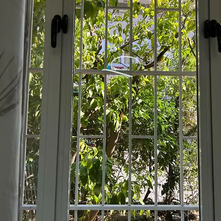 Apartmán New Bazaar Cane 2